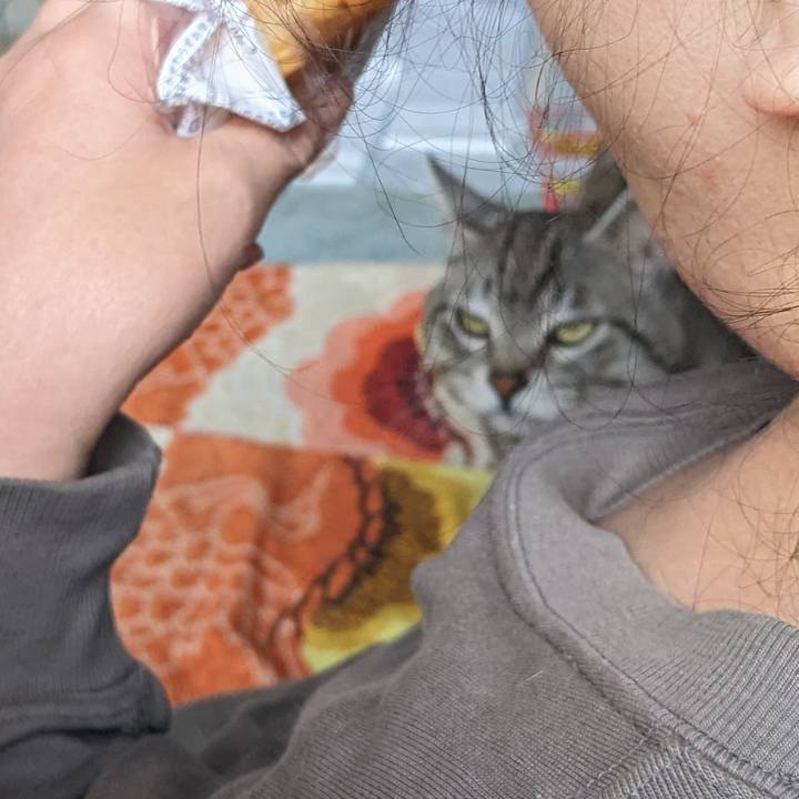 B12339cc 3acd 4b91 afd6 2dc460637ace 1715333041408