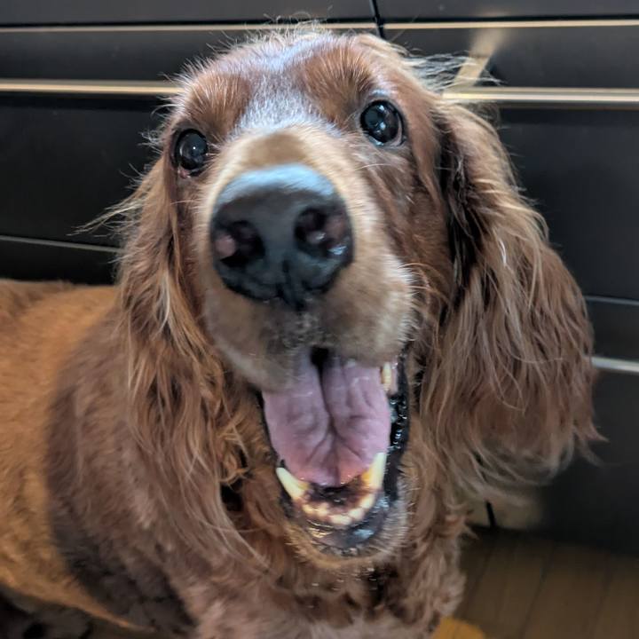 B123a1d1 6362 4a10 8198 844b63ded1c0 1756041031236