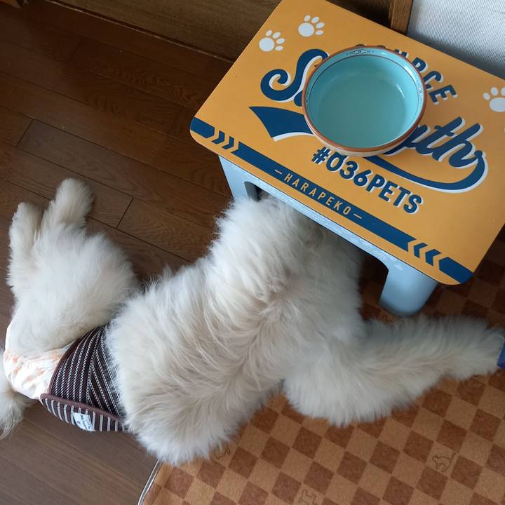 B123b19d 2612 46fd adcb 734ead25dee8 1623892134325