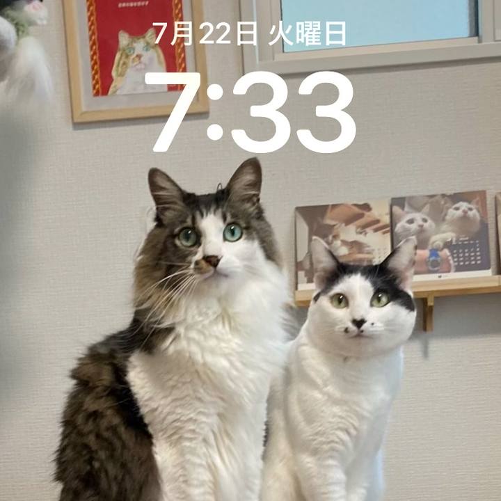 B123b46e aaf3 4239 968d 19e5ccff7a32 1753137345884