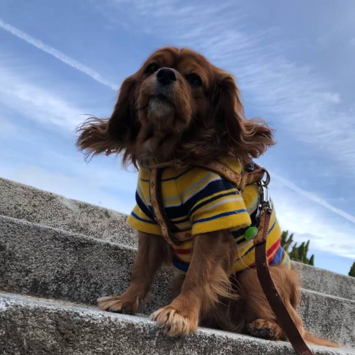 B123d139 5b1f 49b9 8559 533297764a1a 1608341868236