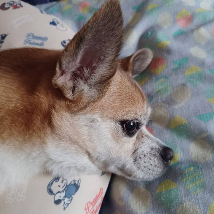 B123de8a 7ff0 4868 a9d9 620610172912 1755727093888