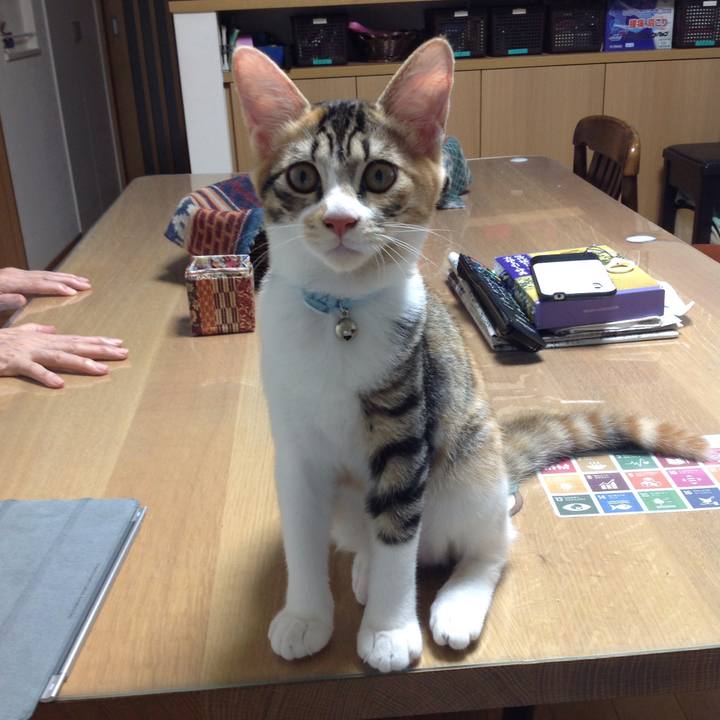 B123e26f 2dc5 4c2d a4b3 f9283bd09fb7 1629967356704