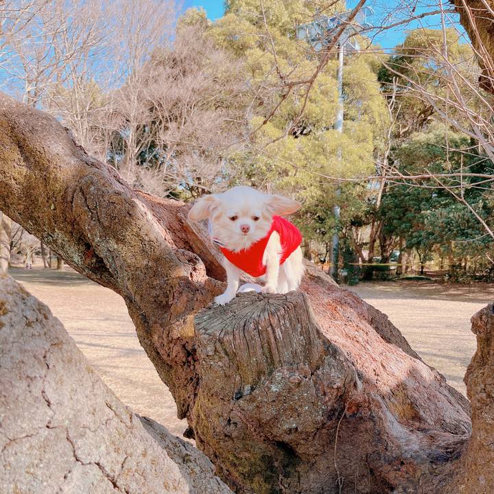 B123f69b 1f54 4204 84d4 bd27290306bc 1674393165009