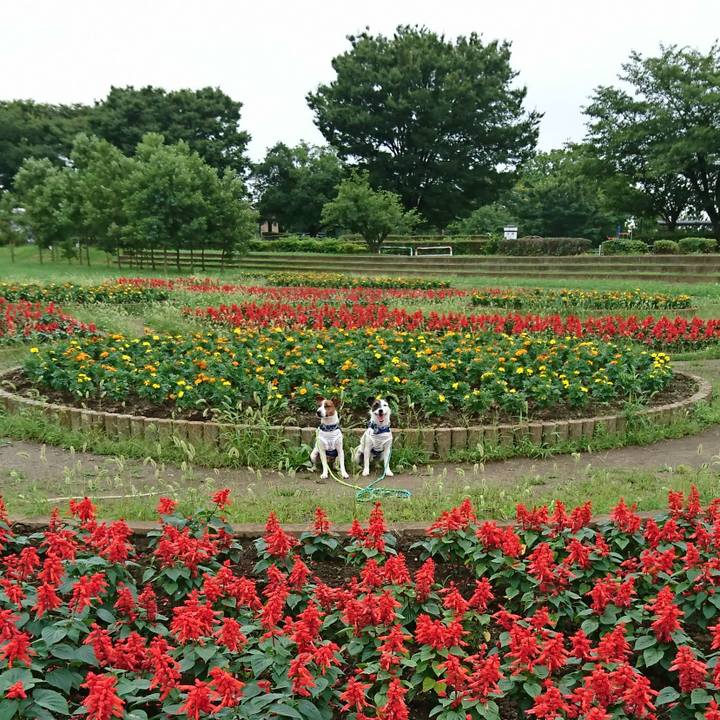 B1240c8b 8d94 4ad8 ae09 172850d3cf19 1562146064610