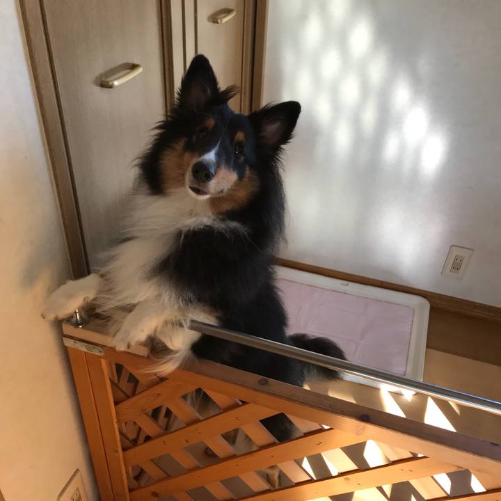 B1240fa9 5b9f 494b 99a8 1ac0dcc980b1 1537654795928