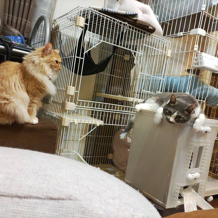 B1241194 caf1 4d6a aac6 16e30a1ff600 1682082576057