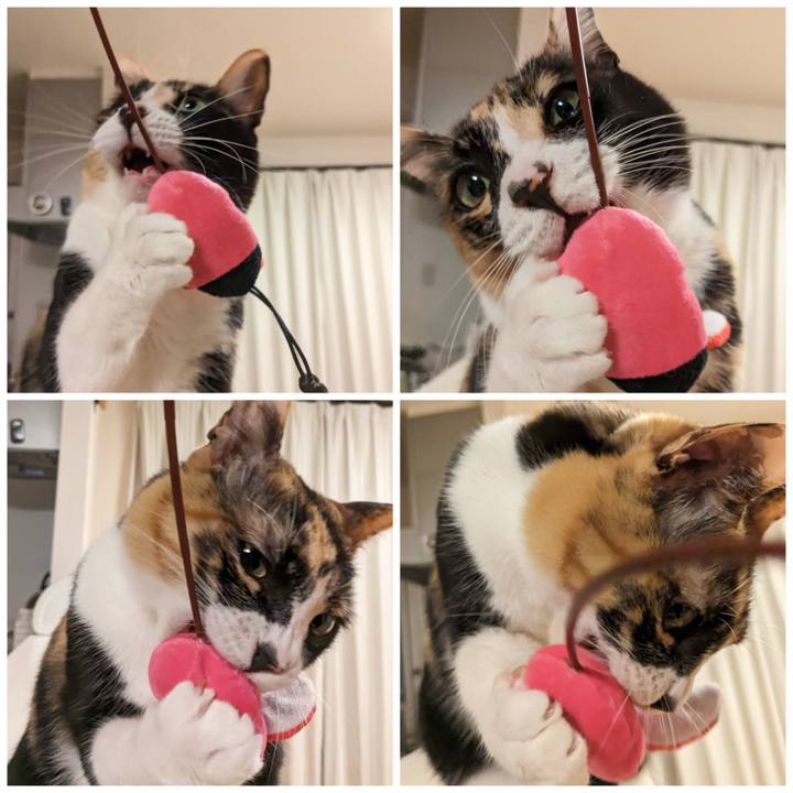 B1242434 abbf 46b6 b887 d990ea0c01f5 1680501967273