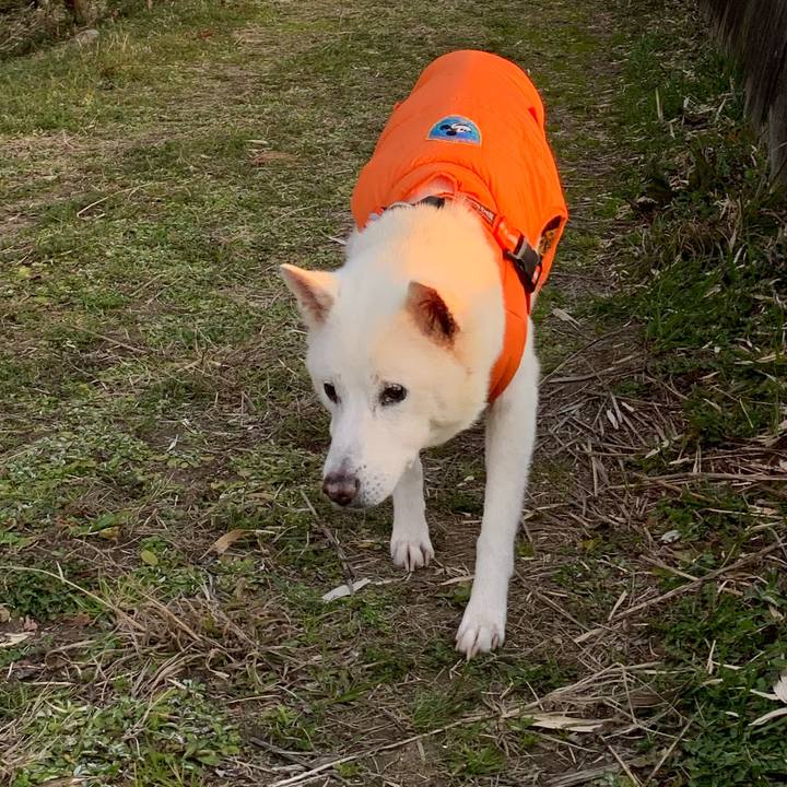 B1247900 db2f 4939 a95e e4b6efed0e1f 1582538642239