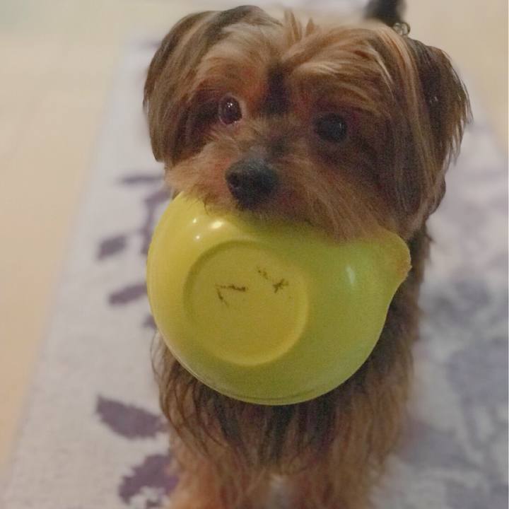 B12496c0 8f64 460a 9d3d e2bde5fa43f3 1528710224230