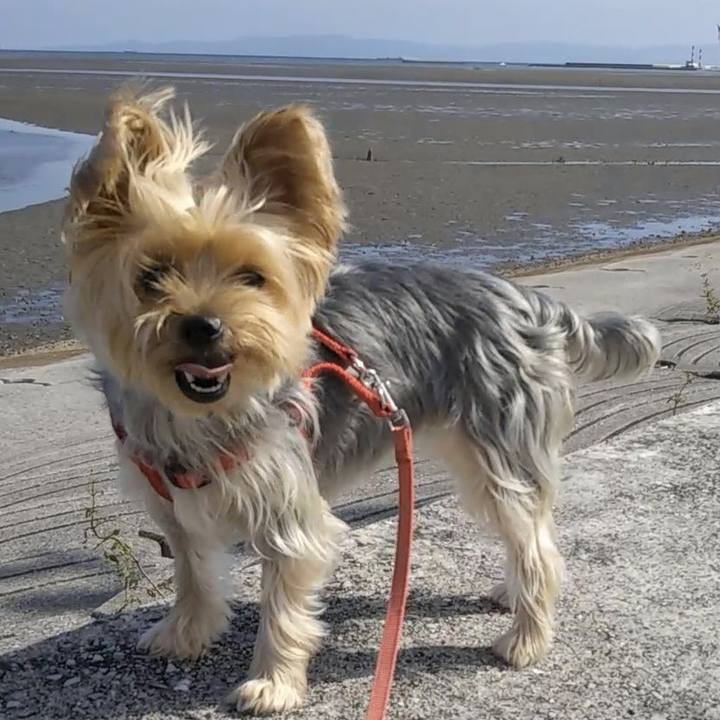 B124cbf9 3d93 419d a71b 755775fe5c5a 1697025813302