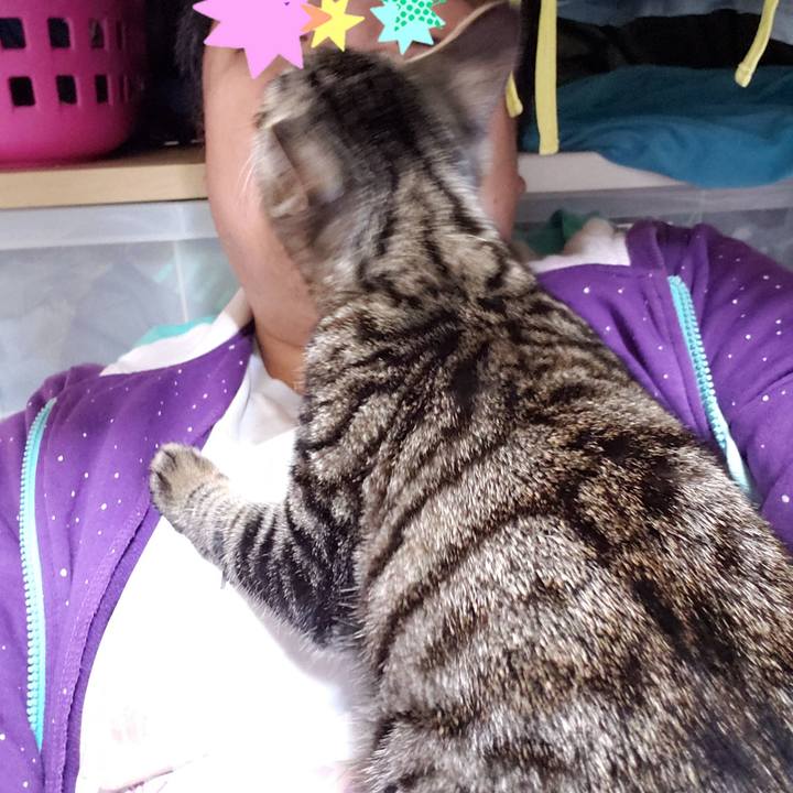 B124d2d1 8091 40c8 8a08 cd6771bf1ef0 1542705412840