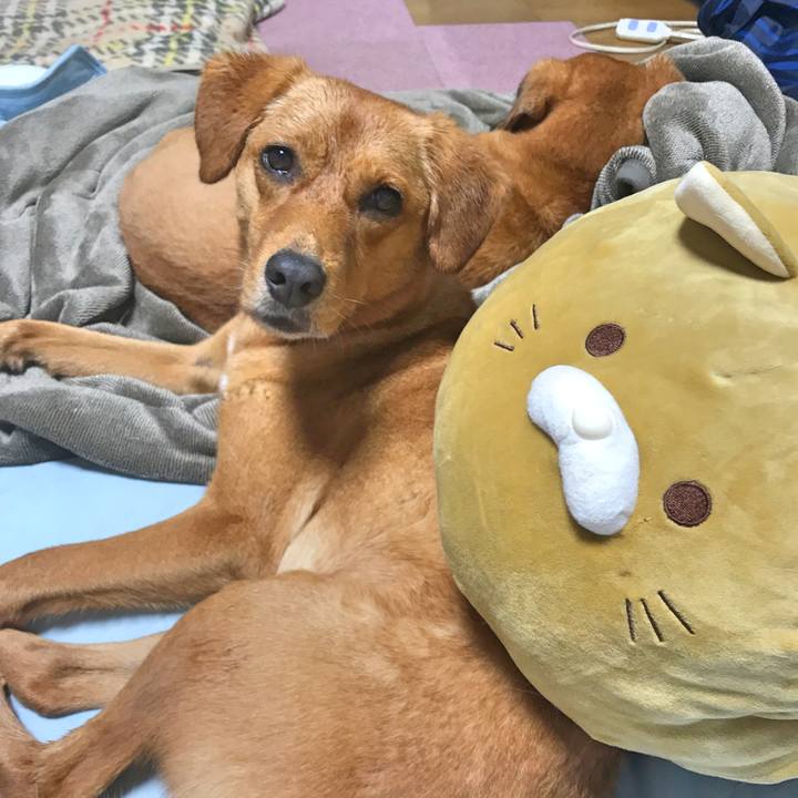 B124e242 6db6 4079 bda3 c9ec6f5027f5 1536594111214