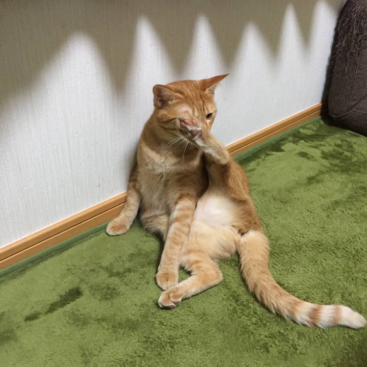 B12529c9 54cf 4827 ad2b 34d6e47a51b5 1524310285304