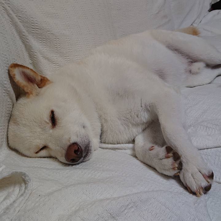 B1256ed8 90ab 4015 82fb 685c2fbef73b 1568817469659