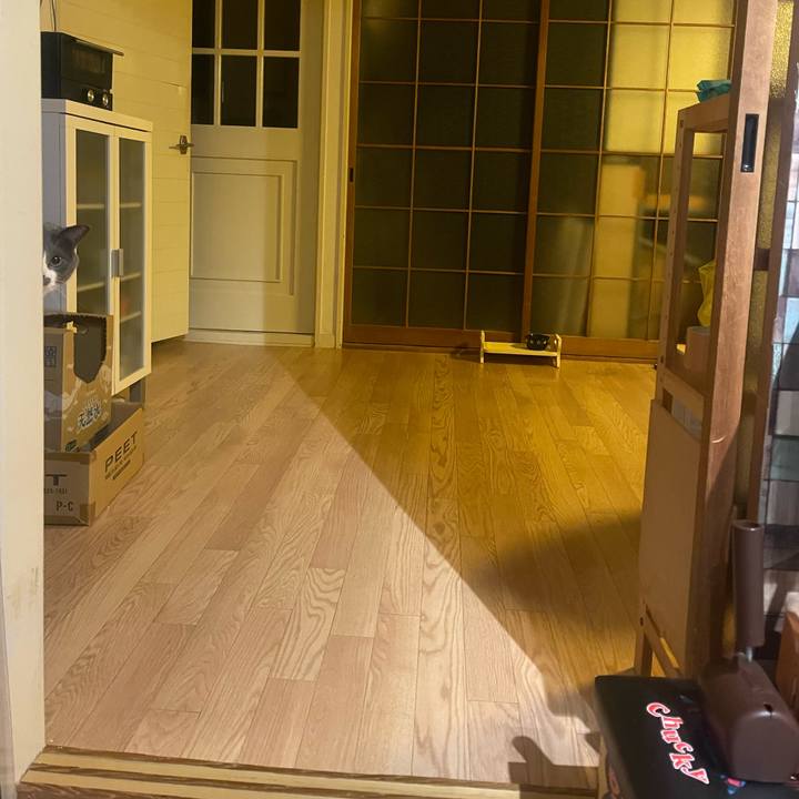 B12577d5 3705 47a5 9a70 b749230114bd 1743413799035