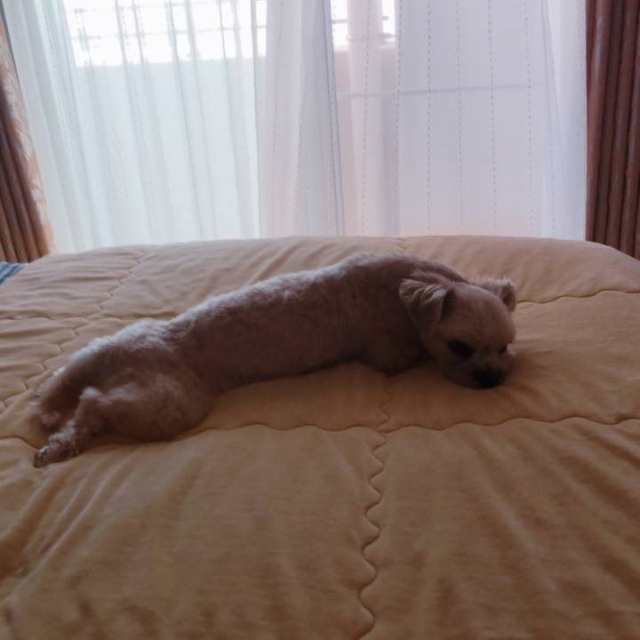 B125ac78 1dab 4993 b257 d8e54a11a766 1529818796462