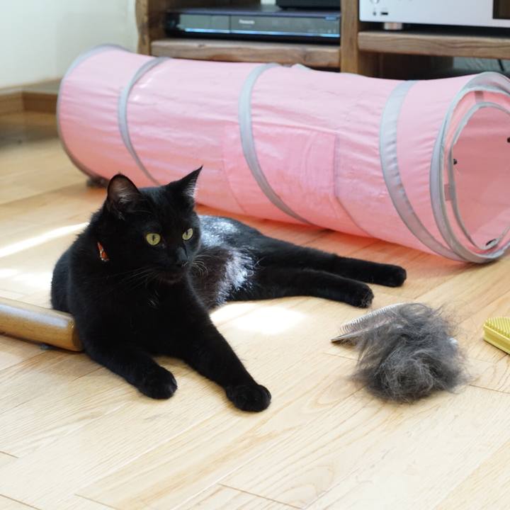 B125e6b2 bb1e 4ff5 ad78 06c57001ab9f 1533996179210