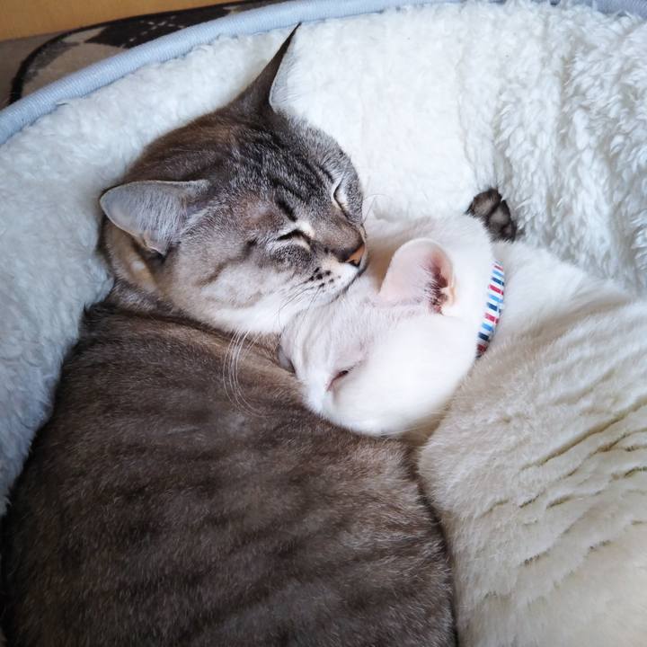 B125ece6 0675 4fbf 87dc 539fcc20b937 1613617297414