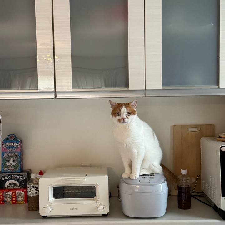 B1262851 0428 49ad 9310 d937eeb9defd 1761358383610