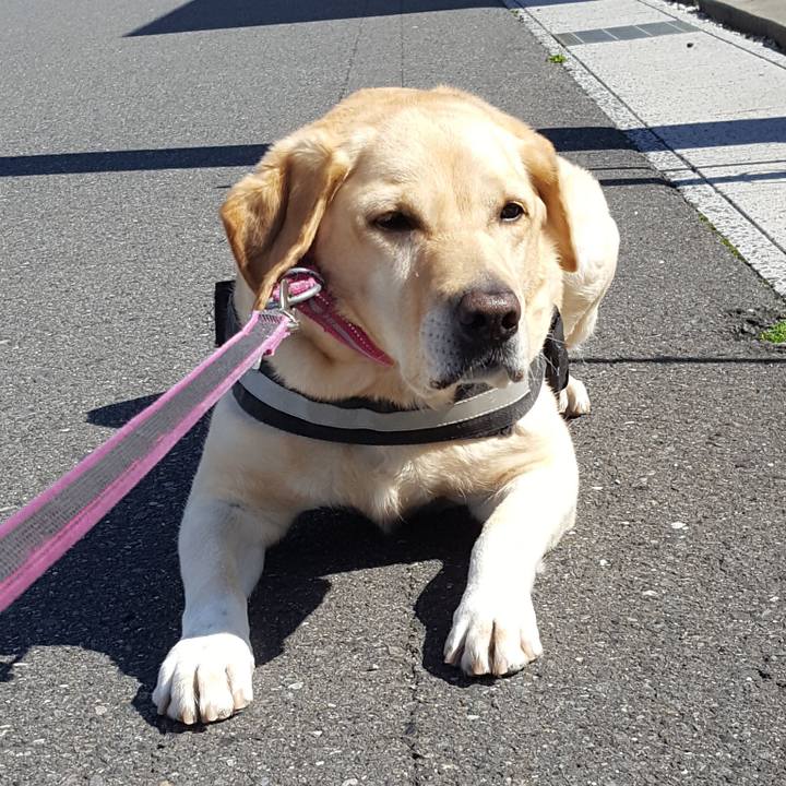 B1266520 46bf 4d43 bd85 d33cd83a2077 1556328444063