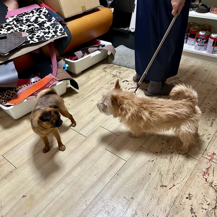 B1268433 4611 4a34 9619 3a8cc94b87c8 1714744246061