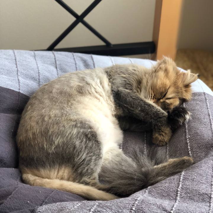 B1270e3b 0d84 4771 a0ed 9d7e5bb3413a 1525048705932