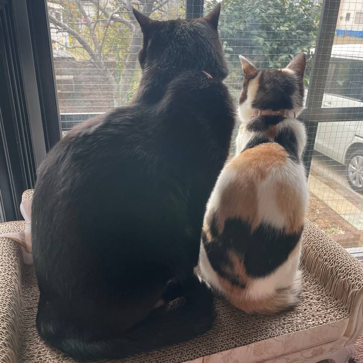 B12721ac f301 490f 9e99 3bad97f37a41 1676760500177