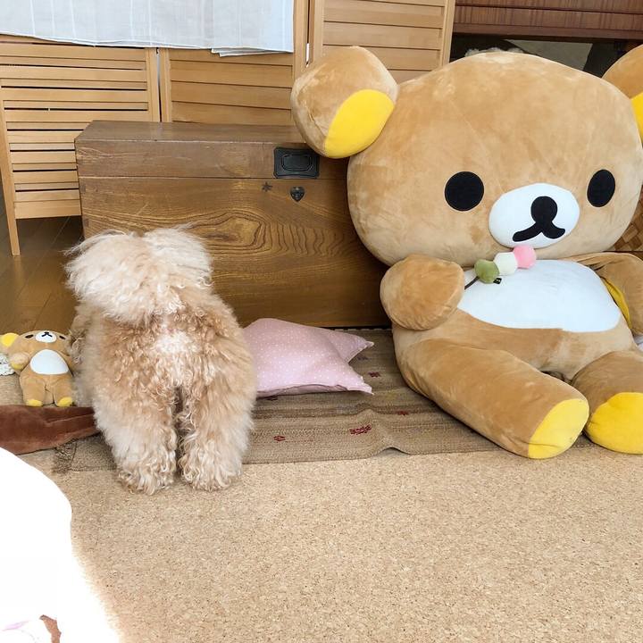 B127420a 5f11 4b68 ac00 f04c8306f06a 1517992521691