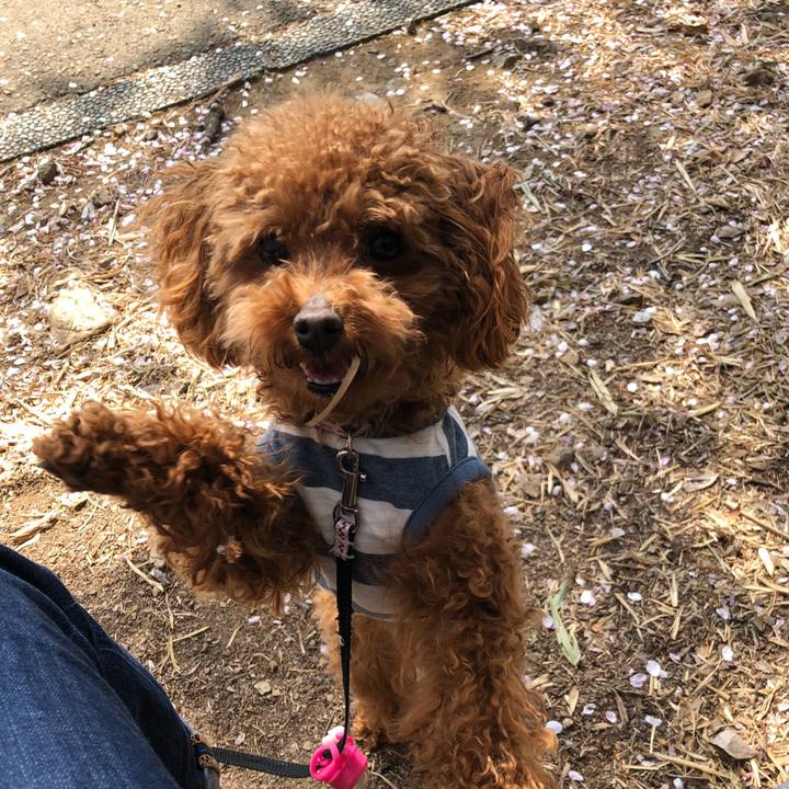 B1274b77 94a6 415f bbe0 2e035b54871e 1522548953941