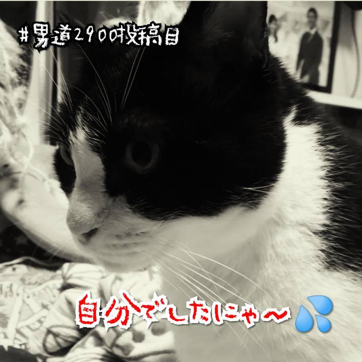 B12761a8 5a4c 44f5 b881 e60cd3b2d5d1 1569324178278