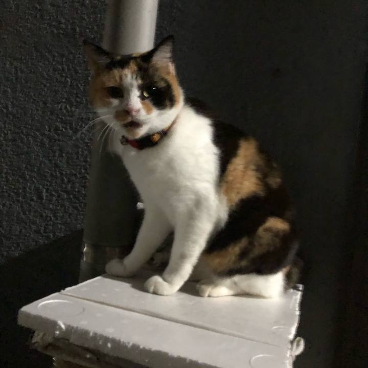 B12765a4 265d 4446 8b9e 781227da565f 1575206145883