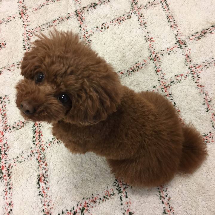 B12767d7 ddb6 4a83 89cf c755c42f3c9b 1525949112248