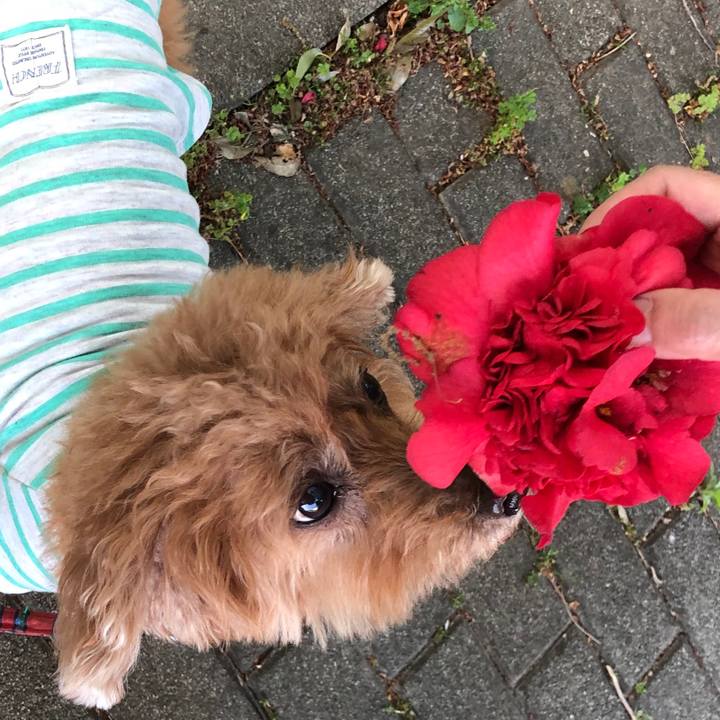 B1276cb5 bec5 468b 8cc9 a4c8575544e5 1589249214311