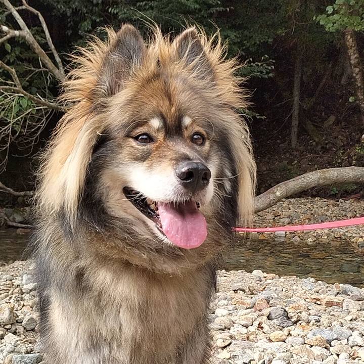 B127711e b2a5 4add a197 8bfc8cc0b3d5 1664001391052