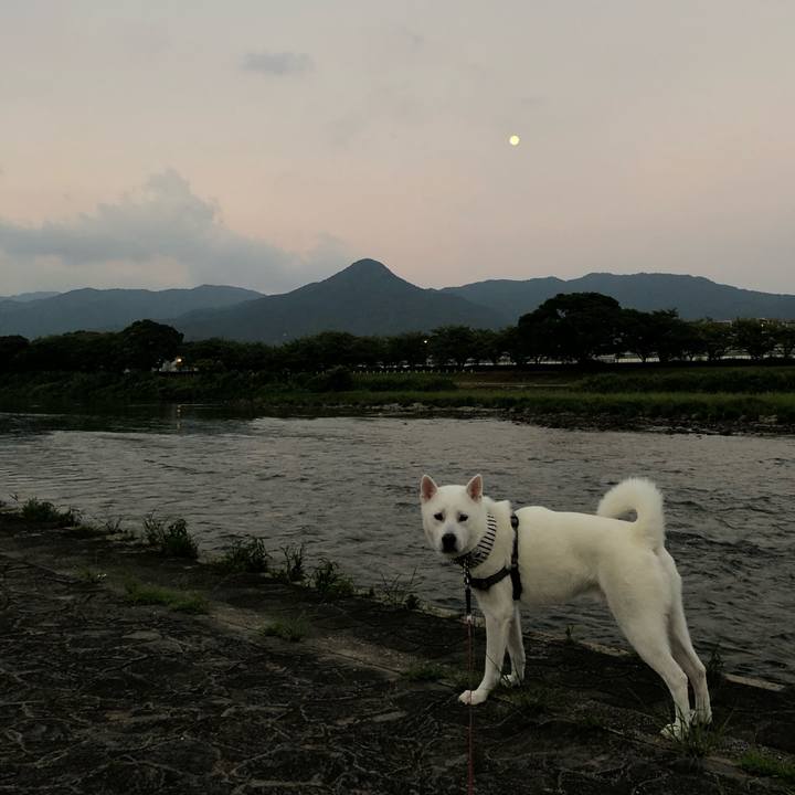 B127afa2 f54d 442f aaa7 3eeffe88c32f 1565987938332