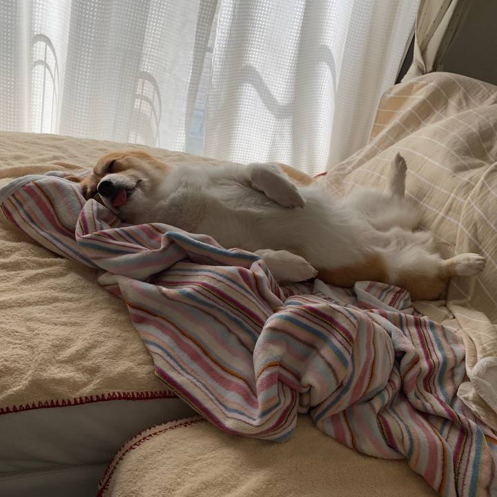 B127b6ac 3d47 4504 9822 a05317310437 1557719434239