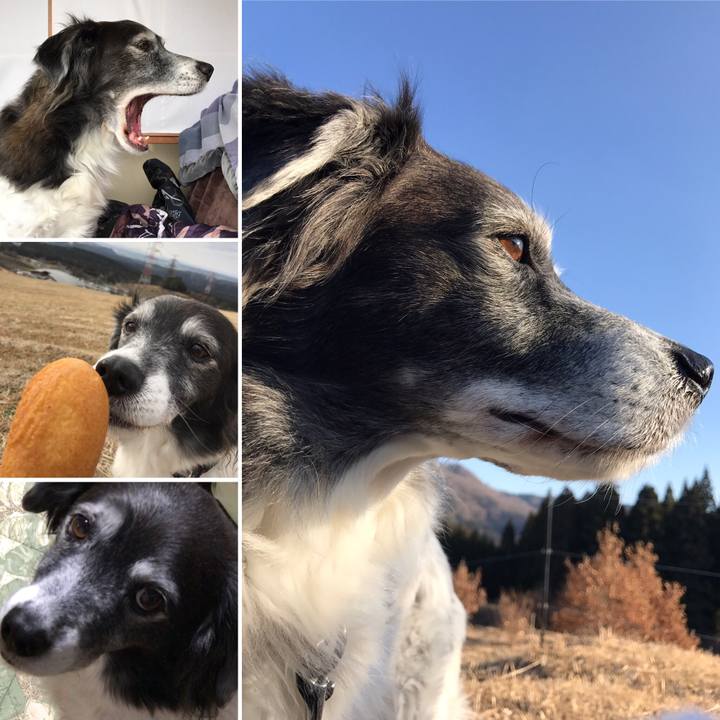 B127de37 5cfa 4fdc adb2 1697a4600c09 1551000536812