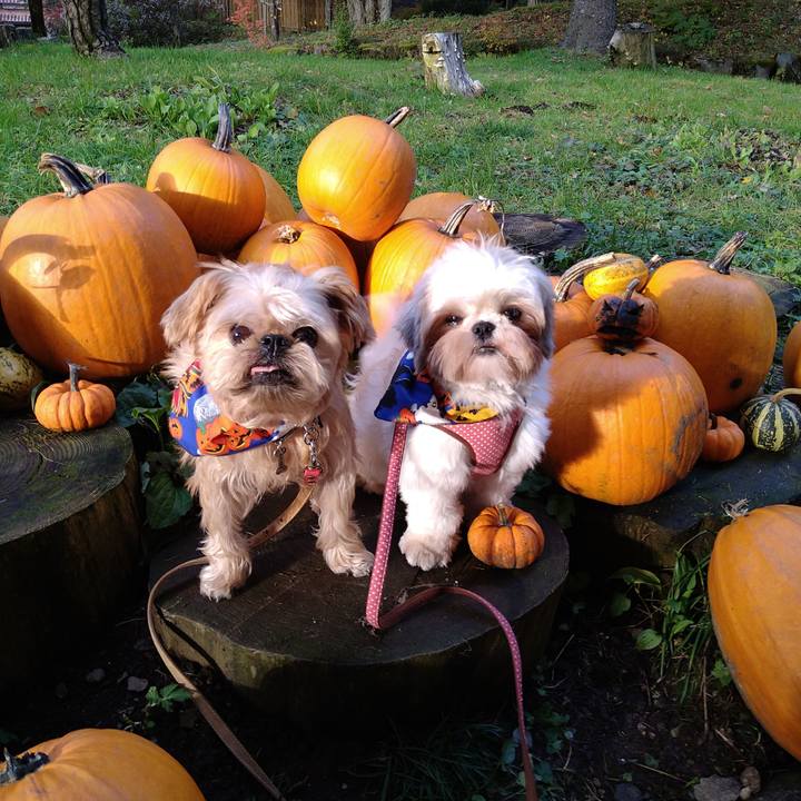 B127f572 aff1 4296 8f79 28e443092c44 1603679583850