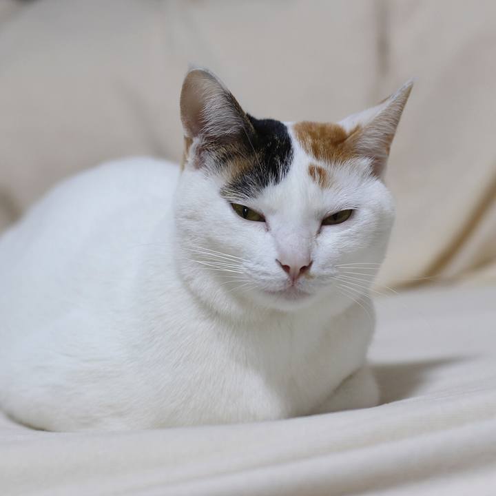 B1281d4b ba2a 4b35 90b4 829df6416421 1578206157664