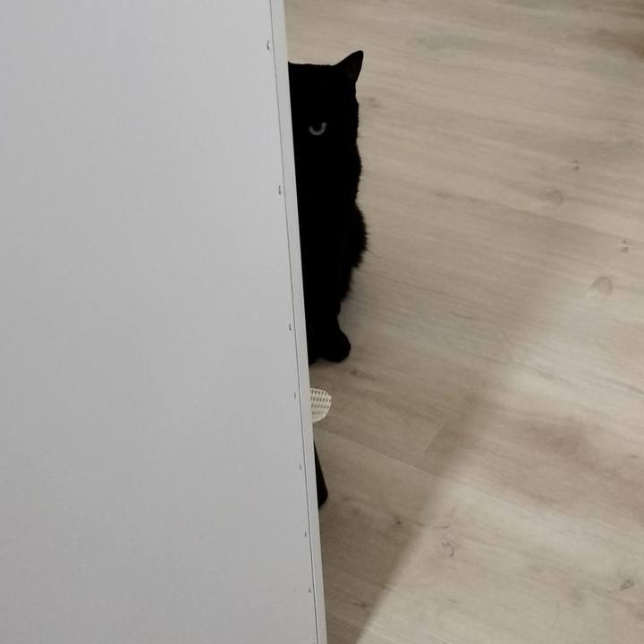 B1282f0a c5f1 45b4 b846 5929f0d0b551 1692052237474