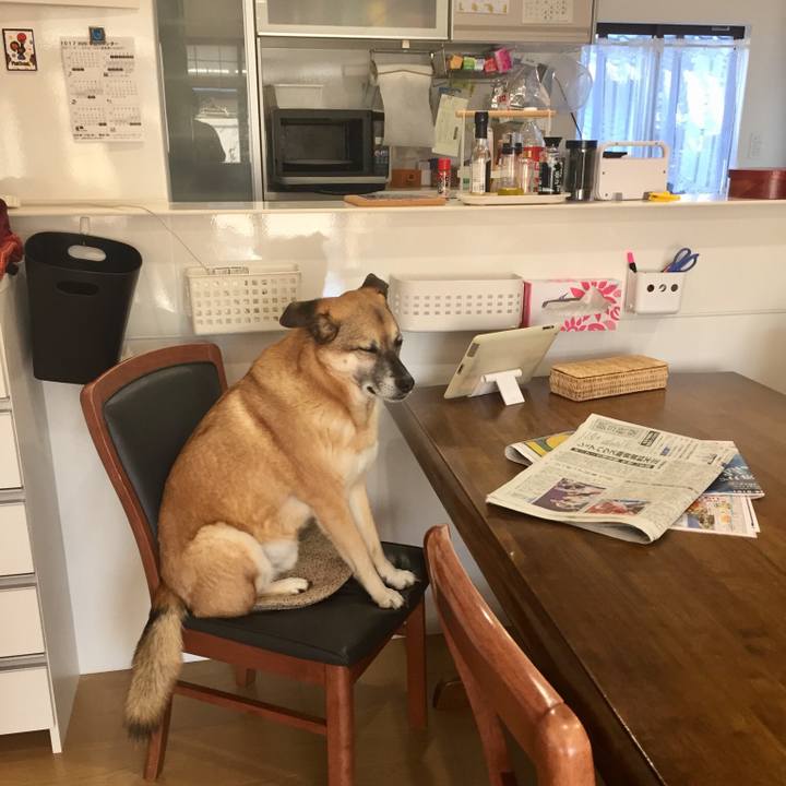 B128357b 2cfd 47ad b4de f7a3a1937f34 1518482394796