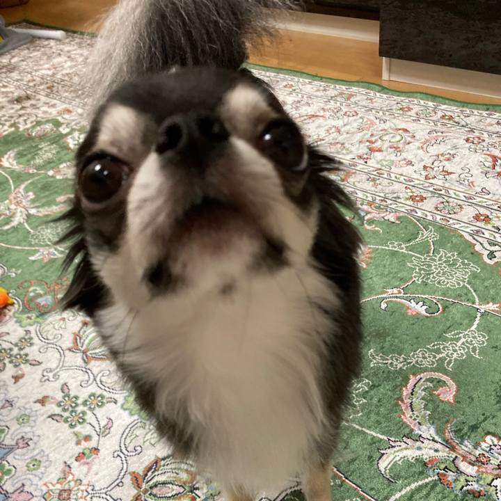 B1283cd9 a2db 4c22 9e95 68869aef79aa 1657377293726