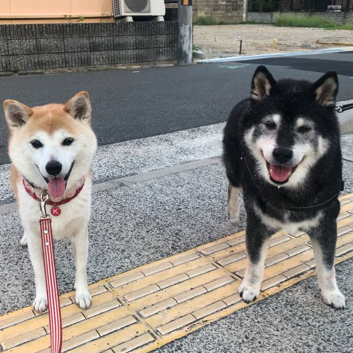 B1284c68 7d8c 4f7d 8a4c 4c3940fe6ac9 1724477402929