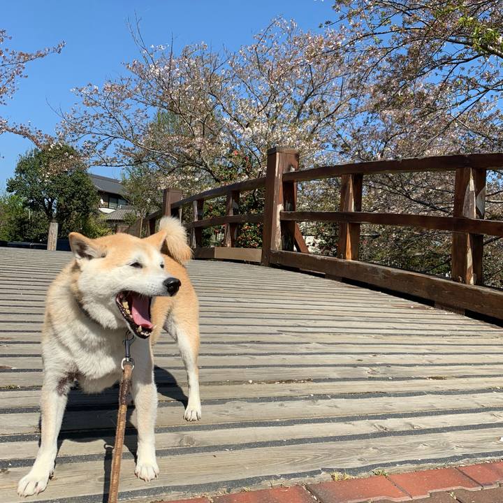 B12871d8 3e18 4551 bf1f ae8a6e829652 1559678209888