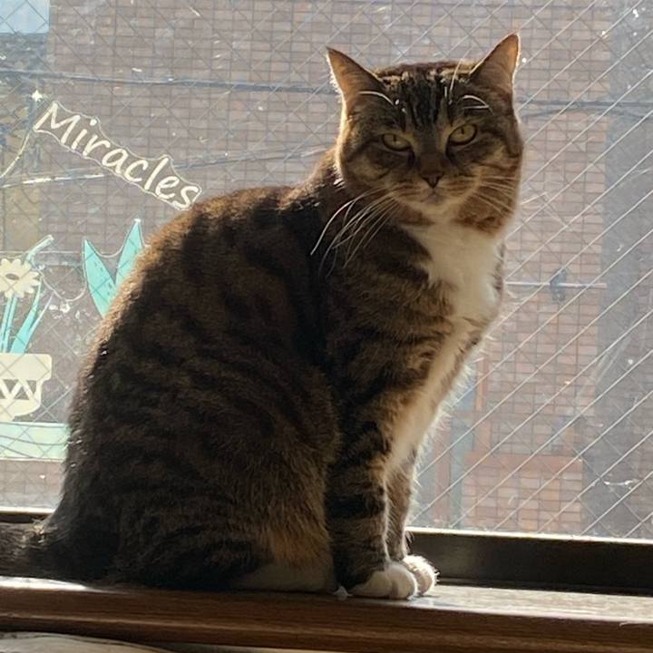 B1287856 cf4c 4a3e bfce 1250b2336fbc 1674351080522