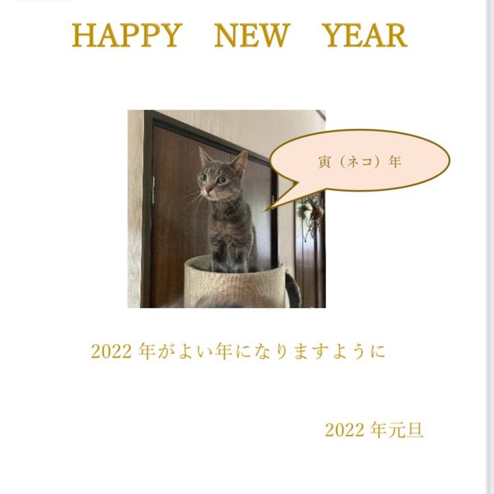 B128dedf 6137 4964 a969 b6c50aad9592 1641011282035