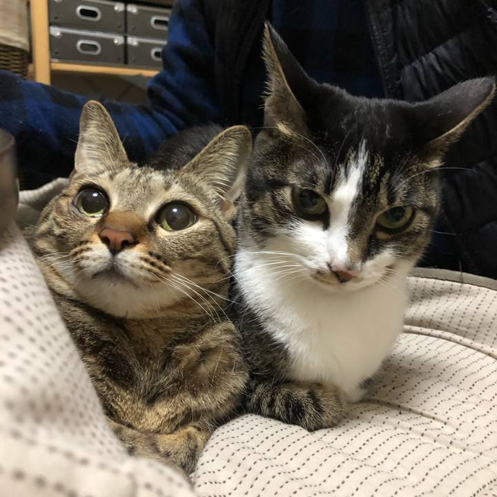 B12903c9 3dd6 42fe b327 d02029bdfed3 1609771751287