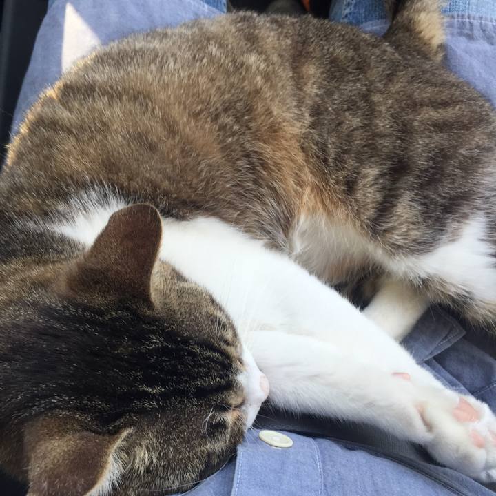 B1290a48 0bce 4311 98fb 15066c9f9741 1521869982473