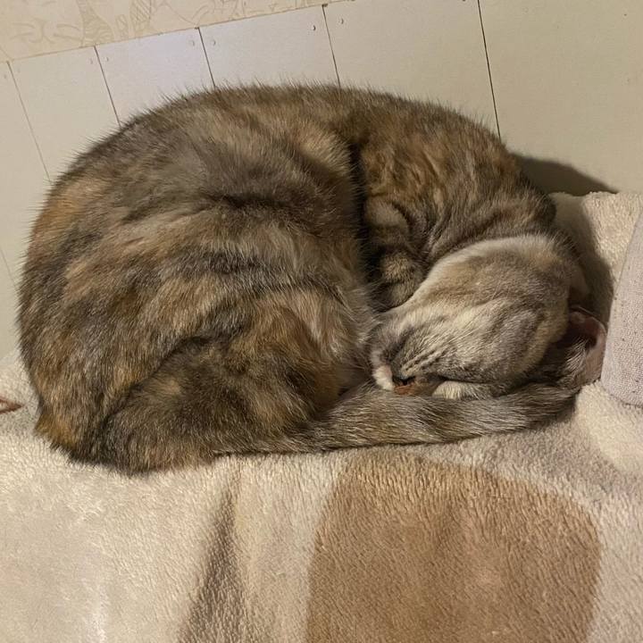 B12944a7 e431 48b4 92aa c278664ff24e 1677975236602